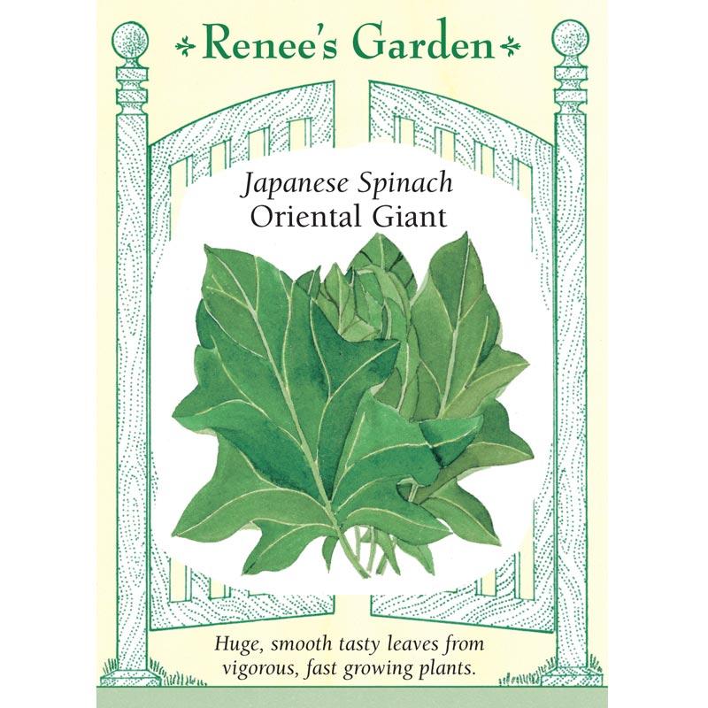 Renee's Garden Spinach Japanese Oriental Giant Renee's Garden Spinach Japanese Oriental Giant Vegetable Seeds