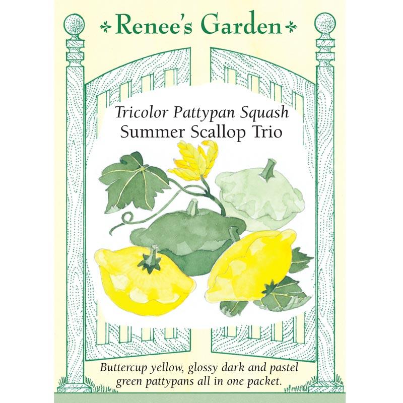 Renee's Garden Squash Summer Scallop Trio - Grow Organic Renee's Garden Squash Summer Scallop Trio Vegetable Seeds