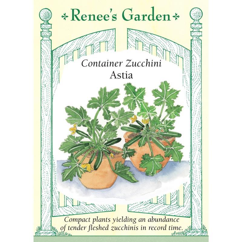 Renee's Garden Squash Summer Zucchini Astia - Grow Organic Renee's Garden Squash Summer Zucchini Astia Vegetable Seeds