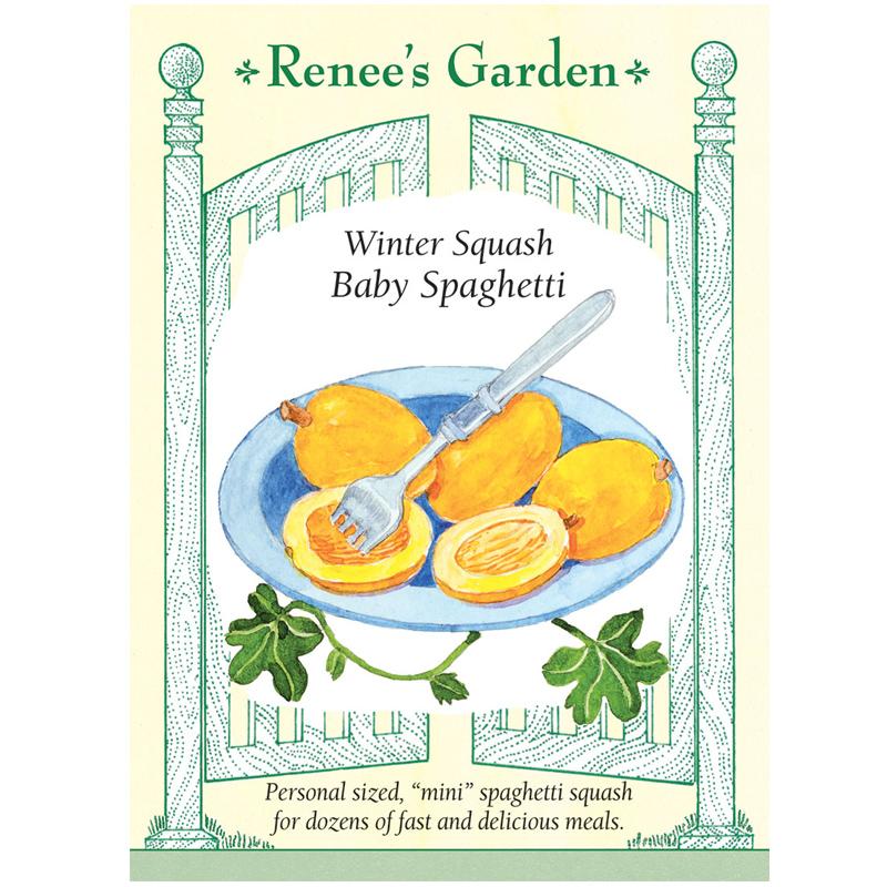 Renee's Garden Squash Winter Baby Spaghetti - Grow Organic Renee's Garden Squash Winter Baby Spaghetti Vegetable Seeds