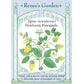 Pineapple Alpine Strawberry Seeds - Grow Organic