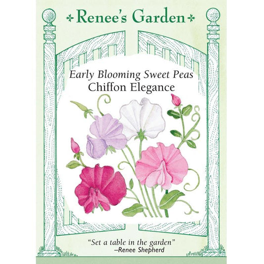 Renee's Garden Sweet Pea Chiffon Elegance - Grow Organic Renee's Garden Sweet Pea Chiffon Elegance Flower Seed & Bulbs