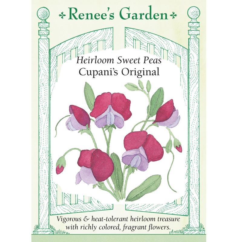 Renee's Garden Sweet Pea Cupani's Original (Heirloom) Renee's Garden Sweet Pea Cupani's Original (Heirloom) Flower Seed & Bulbs