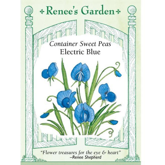 Renee's Garden Sweet Pea Electric Blue - Grow Organic Renee's Garden Sweet Pea Electric Blue Flower Seed & Bulbs