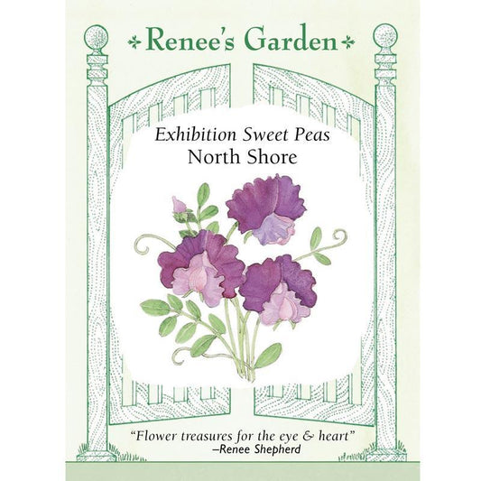 Renee's Garden Sweet Pea North Shore - Grow Organic Renee's Garden Sweet Pea North Shore Flower Seed & Bulbs