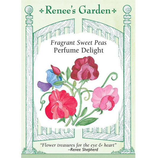 Renee's Garden Sweet Pea Perfume Delight (Heirloom) Renee's Garden Sweet Pea Perfume Delight (Heirloom) Flower Seed & Bulbs