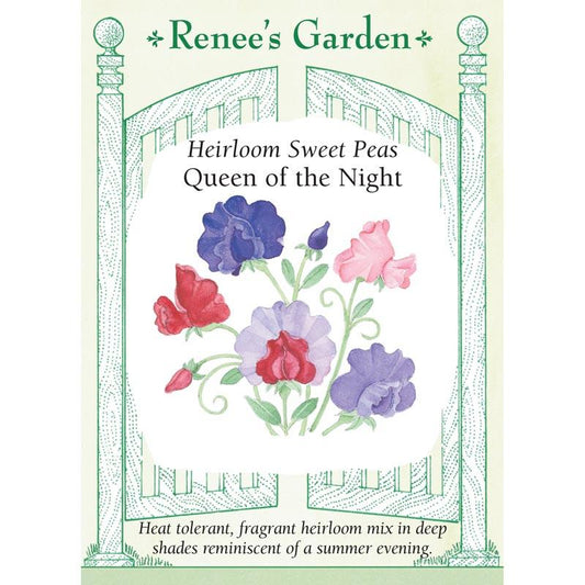Renee's Garden Sweet Pea Queen of the Night (Heirloom) Renee's Garden Sweet Pea Queen of the Night (Heirloom) Flower Seed & Bulbs