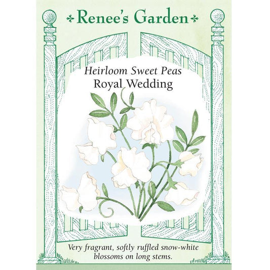 Renee's Garden Sweet Pea Royal Wedding - Grow Organic Renee's Garden Sweet Pea Royal Wedding Flower Seed & Bulbs