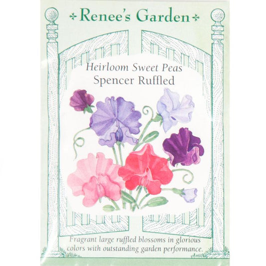 Renee's Garden Sweet Pea Spencer Ruffled (Heirloom) Renee's Garden Sweet Pea Spencer Ruffled (Heirloom) Flower Seed & Bulbs