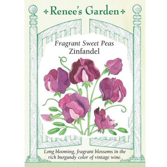 Renee's Garden Sweet Pea Zinfandel - Grow Organic Renee's Garden Sweet Pea Zinfandel Flower Seed & Bulbs