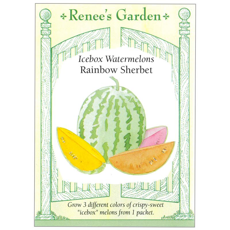 Renee's Garden Watermelon Trio Rainbow Sherbet Renee's Garden Watermelon Trio Rainbow Sherbet Vegetable Seeds