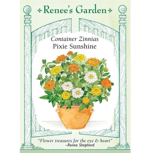 Renee's Garden Zinnia Pixie Sunshine - Grow Organic Renee's Garden Zinnia Pixie Sunshine Flower Seed & Bulbs