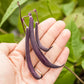 Royalty Purple Pod Bush Bean Seeds (Organic) - Grow Organic Royalty Purple Pod Bush Bean Seeds (Organic) Vegetable Seeds
