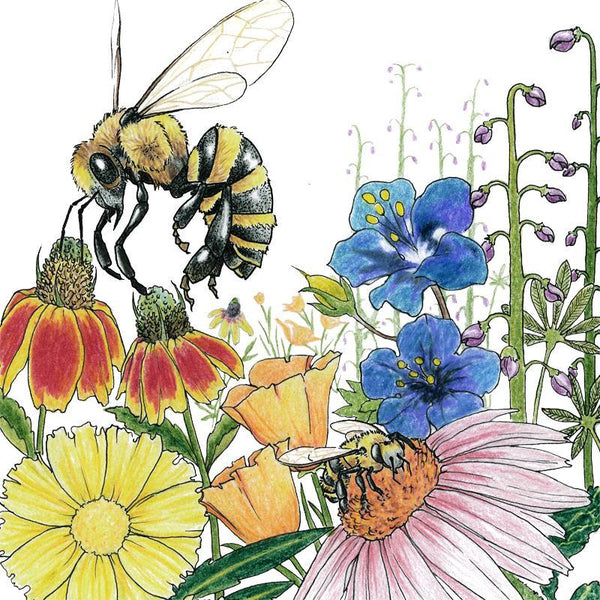 save the bees wildflower seeds Save the Bees Wildflower Mix (1/4 lb)