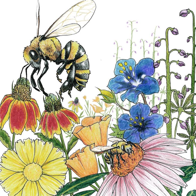 save the bees free wildflower seeds Save the Bees Wildflower Mix (pack)