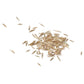 Creeping Red Fescue  Seed (lb) Grow Organic
