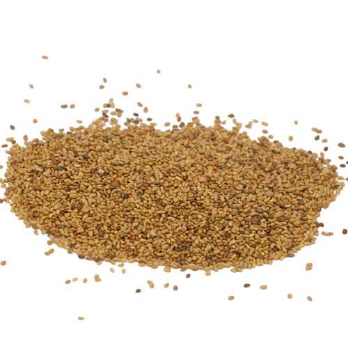 Ladak Alfalfa - Raw Seed - Grow Organic Ladak Alfalfa - Raw Seed (lb) Cover Crop