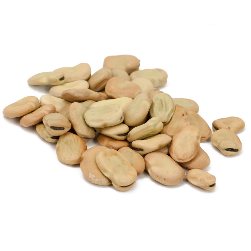 Organic Bean, Fava Broad Windsor (1/2 lb) - Grow Organic Organic Bean, Fava Broad Windsor (1/2 lb) Vegetable Seeds