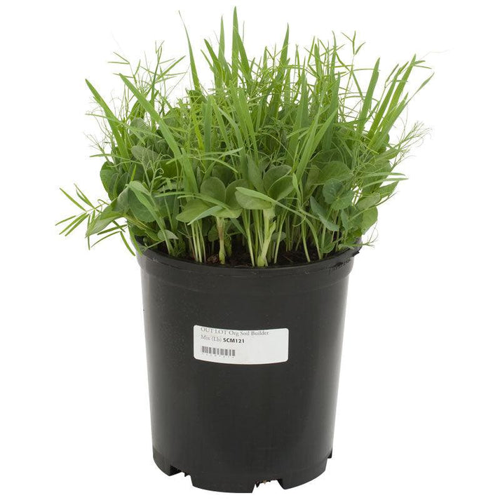 Peaceful Valley Organic Premium Soil Builder Mix Raw Seed Grow Organic