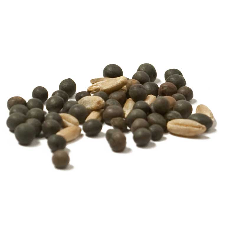 Peaceful Valley Cold Zone Soil Builder Mix - Raw Seed Peaceful Valley Cold Zone Soil Builder Mix - Raw Seed (lb) Cover Crop