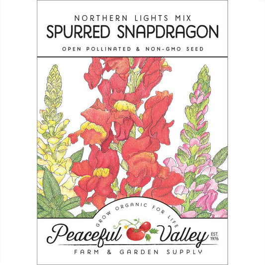 Snapdragon, Spurred (pack) - Grow Organic Snapdragon, Spurred (pack) Flower Seeds