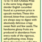 Chelsea Prize English Cucumber Seeds - Grow Organic