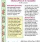 Chelsea Prize English Cucumber Seeds - Grow Organic