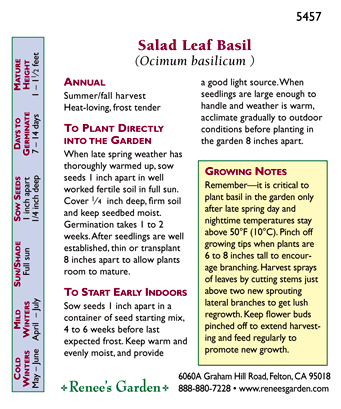 Renee's Garden Basil Salad Leaf (Heirloom) - Grow Organic Renee's Garden Basil Salad Leaf (Heirloom) Herb Seeds