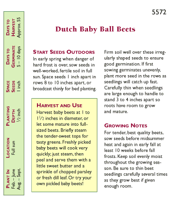 beet seed planting depth Dutch Baby Ball Beet Seeds