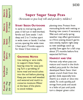 Renee's Garden Pea Snap Super Sugar - Grow Organic Renee's Garden Pea Snap Super Sugar Vegetable Seeds
