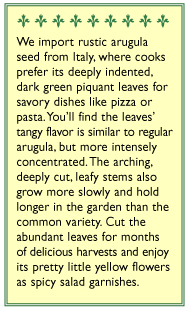 Rustic Arugula Seeds - Grow Organic