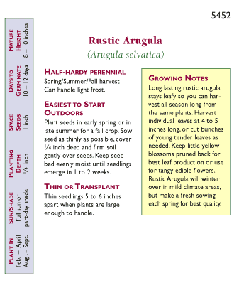 Rustic Arugula Seeds - Grow Organic