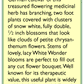 Renee's Garden Feverfew Double White Wonder - Grow Organic Renee's Garden Feverfew Double White Wonder Flower Seed & Bulbs