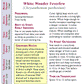 Renee's Garden Feverfew Double White Wonder - Grow Organic Renee's Garden Feverfew Double White Wonder Flower Seed & Bulbs