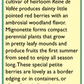 Mignonette Alpine Strawberry Seeds - Grow Organic