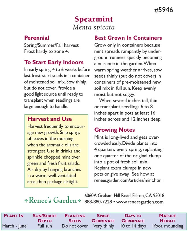 Renee's Garden Spearmint Italian (Heirloom) - Grow Organic Renee's Garden Spearmint Italian (Heirloom) Herb Seeds