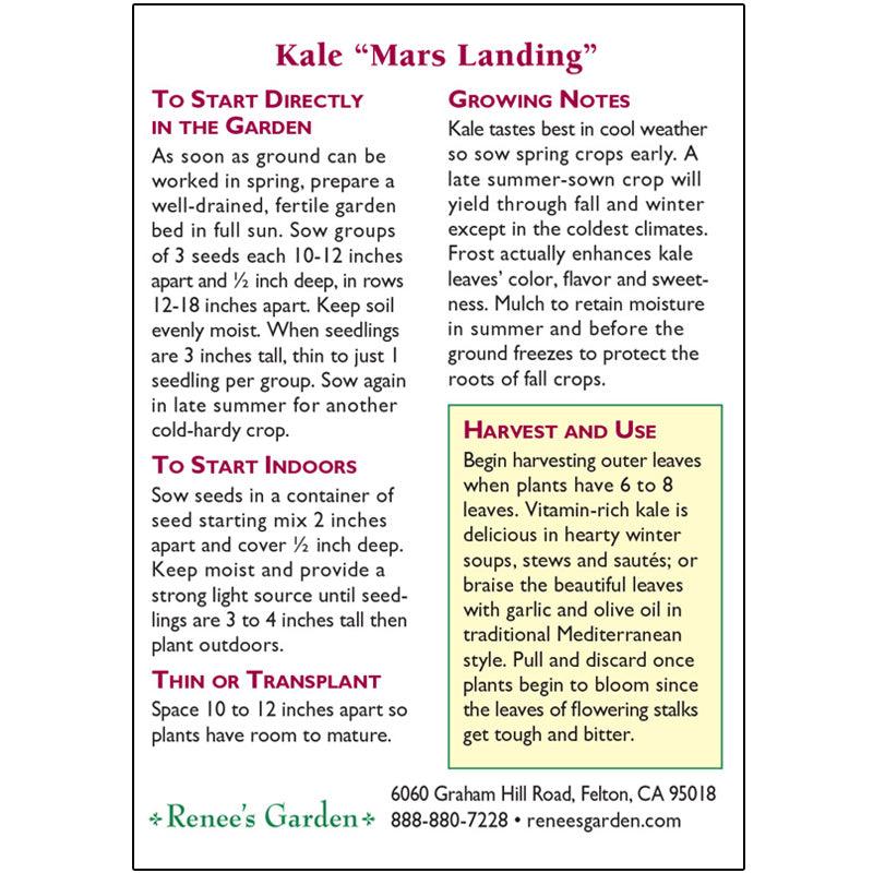 Mars Landing Kale Seeds - Grow Organic