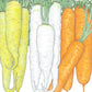 Culinary Mix Carrot Seeds (Organic) - Grow Organic Culinary Mix Carrot Seeds (Organic) Vegetable Seeds