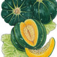 Noir Des Carmes Melon Seeds (Organic) - Grow Organic Noir Des Carmes Melon Seeds (Organic) Vegetable Seeds