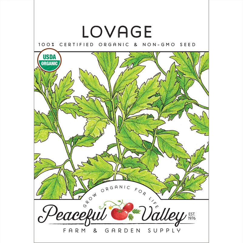 Organic Lovage - Grow Organic Organic Lovage Herb Seeds