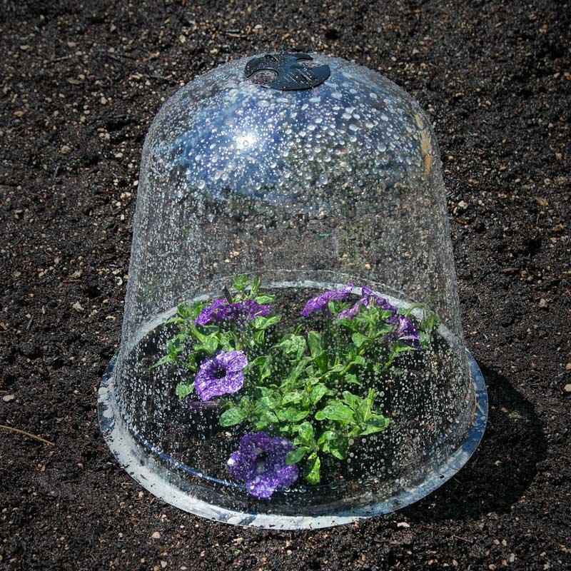 Solar Bells (Set of 3) - Grow Organic Solar Bells (Set of 3) Growing