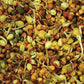 Organic Adzuki Bean Sprouting Seeds (9.7 oz) - Grow Organic Organic Adzuki Bean Sprouting Seeds (9.7 oz) Vegetable Seeds