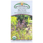 Blue Vervain Seeds - Grow Organic
