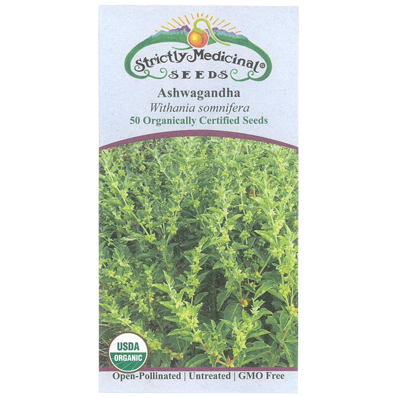 Strictly Medicinal Organic Ashwagandha for Sale Strictly Medicinal Organic Ashwagandha Herb Seeds