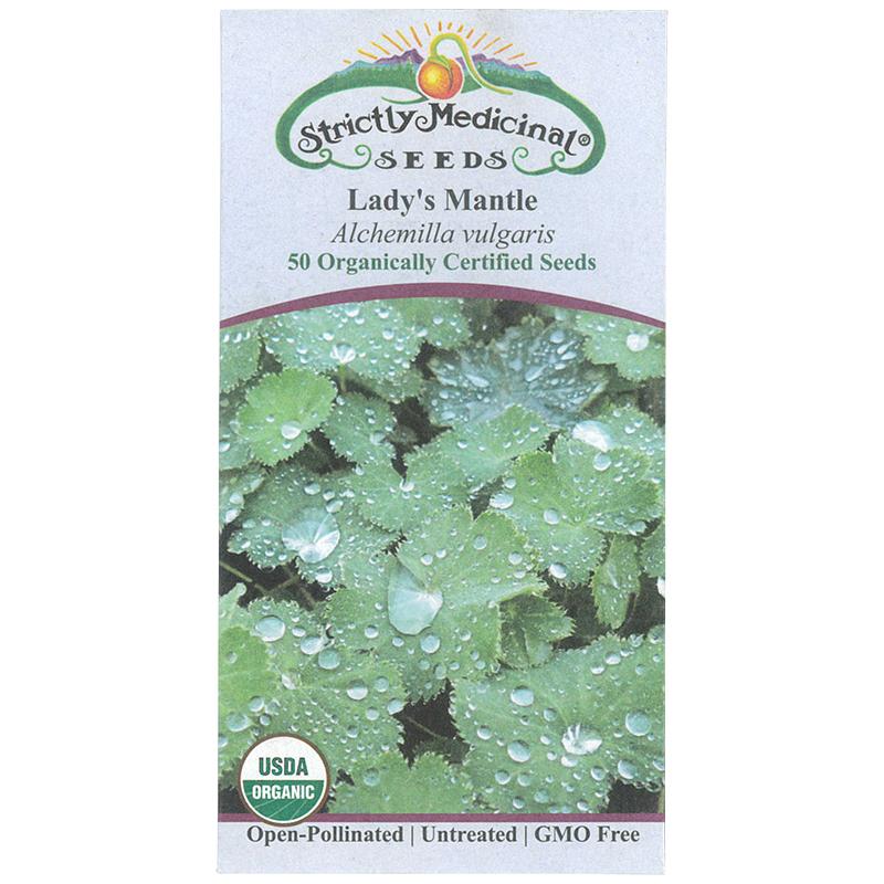 Strictly Medicinal Organic Lady's Mantle - Grow Organic Strictly Medicinal Organic Lady's Mantle Herb Seeds
