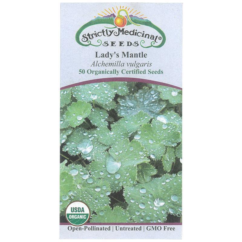 Lady's Mantle Seeds (Organic)