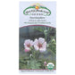 Marshmallow Seeds (Organic) - Grow Organic