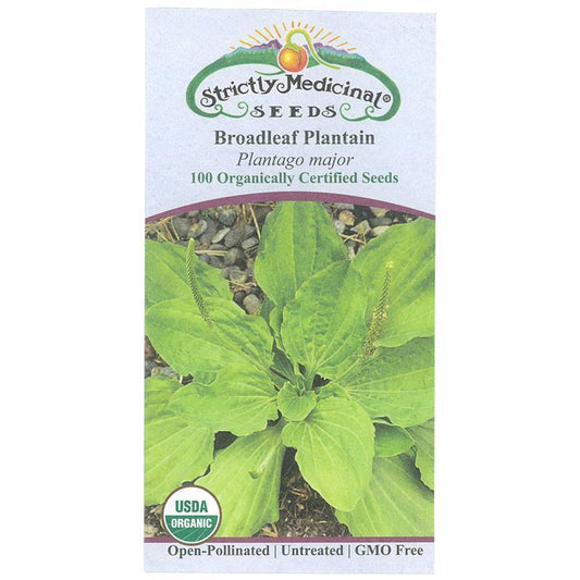 Strictly Medicinal Organic Plantain Broadleaf - Grow Organic Strictly Medicinal Organic Plantain Broadleaf Herb Seeds