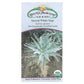 Strictly Medicinal Organic White Sage - Grow Organic Strictly Medicinal Organic White Sage Herb Seeds
