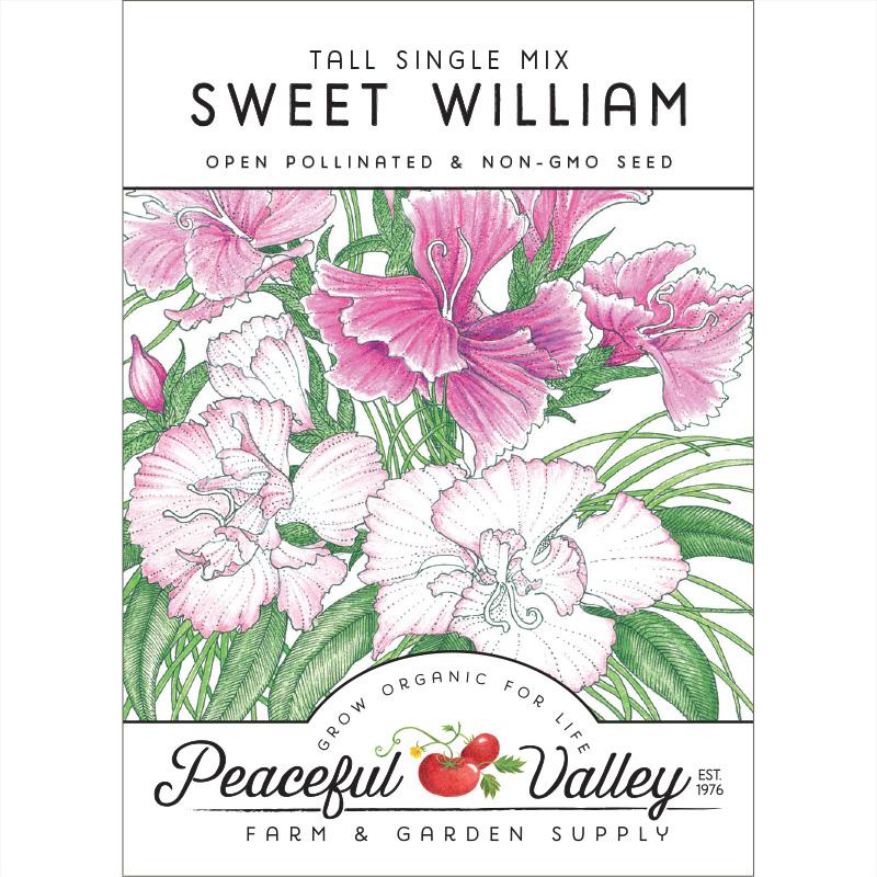 Sweet William (pack) - Grow Organic Sweet William (pack) Flower Seeds